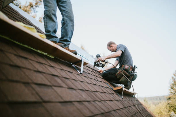 Best Roof Leak Repair  in Thermopolis, WY